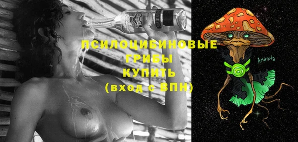 бошки Алексеевка