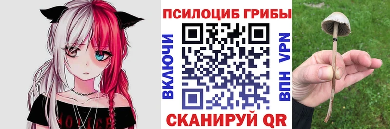 Галлюциногенные грибы Magic Shrooms  сколько стоит  Жуковка 
